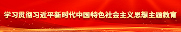 操操操操死你大黑逼网学习贯彻习近平新时代中国特色社会主义思想主题教育